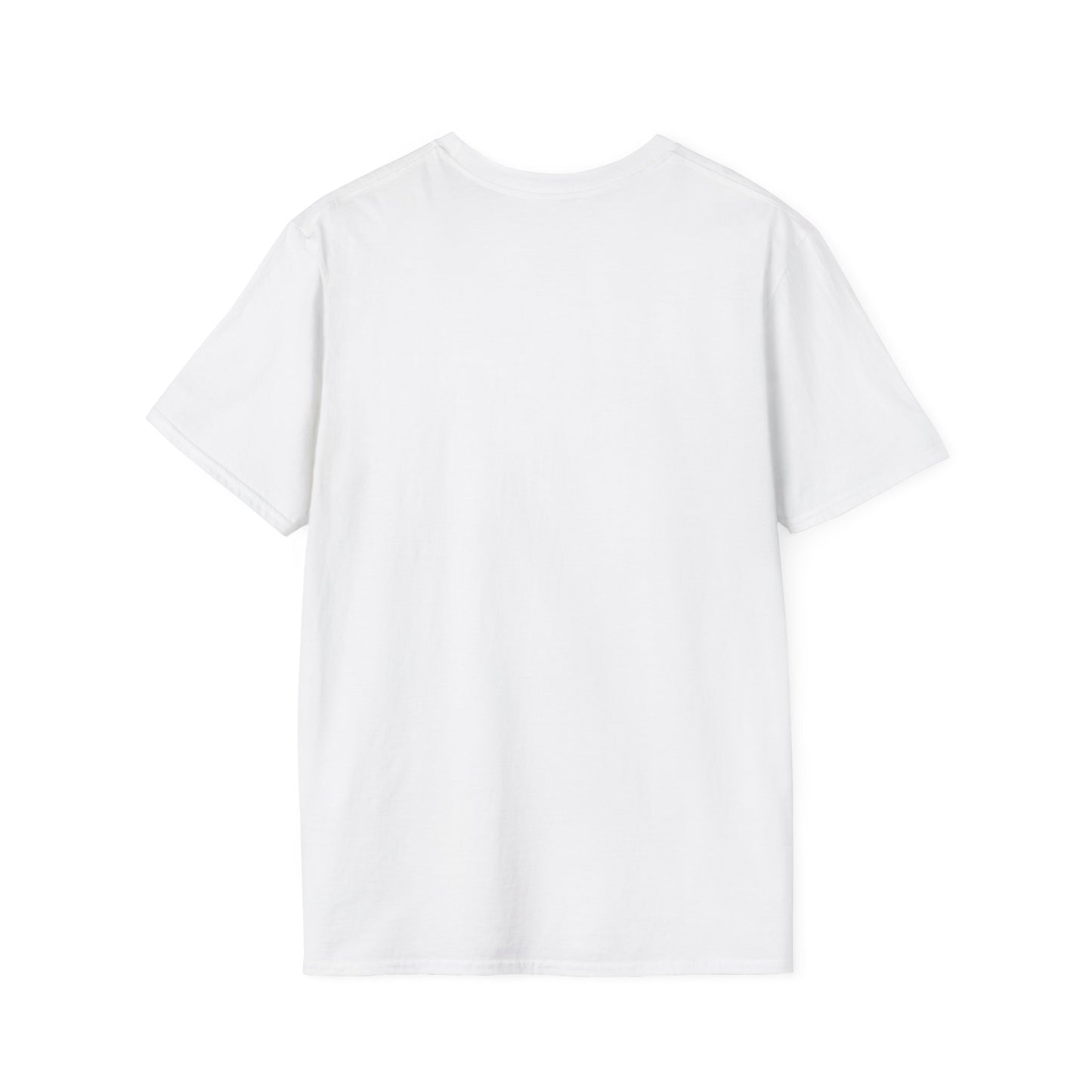 Proud AAPI Educator Light Tee